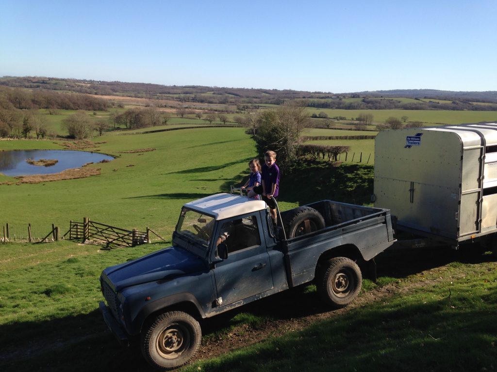 On location at lambing time 