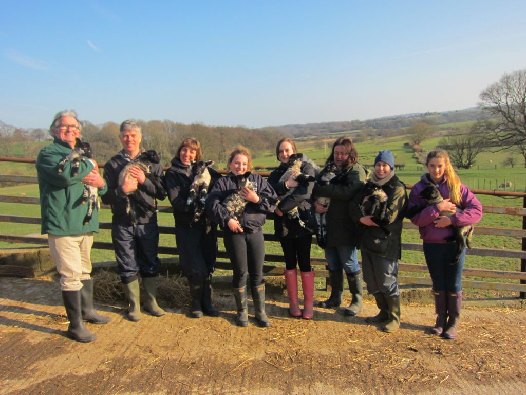 Lambing course at Hare Farm 