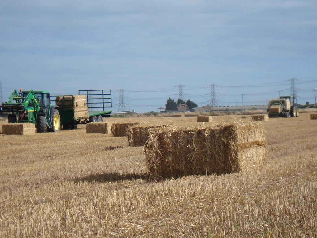 Baling straw - Forty Acre Farm