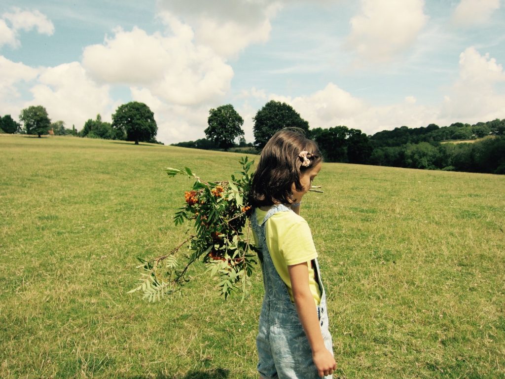 Summer berries - photoshoot Hare Farm 