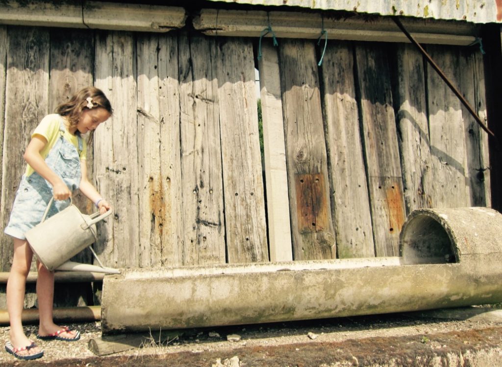 Summer Watering can - photo shoot Hare Farm 