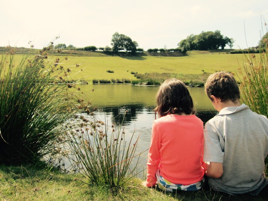 Summer lake 2 - Hare Farm 