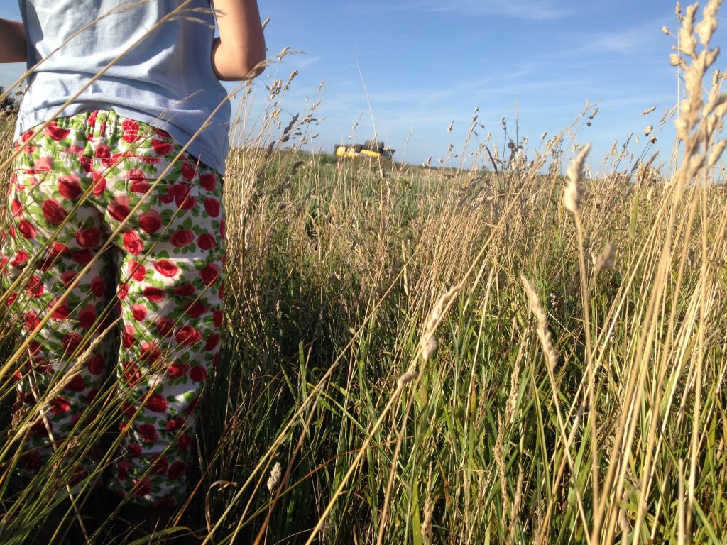 Grass and combine - Fort Acre Farm