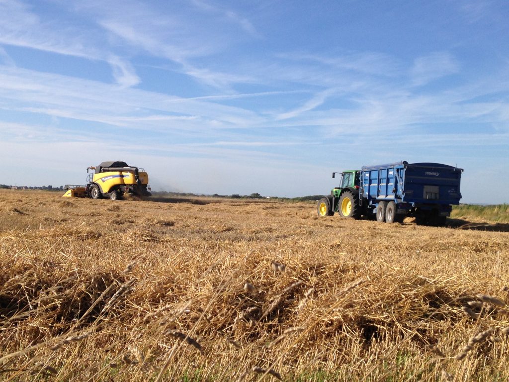 Harvest machines - Forty Acre Farm