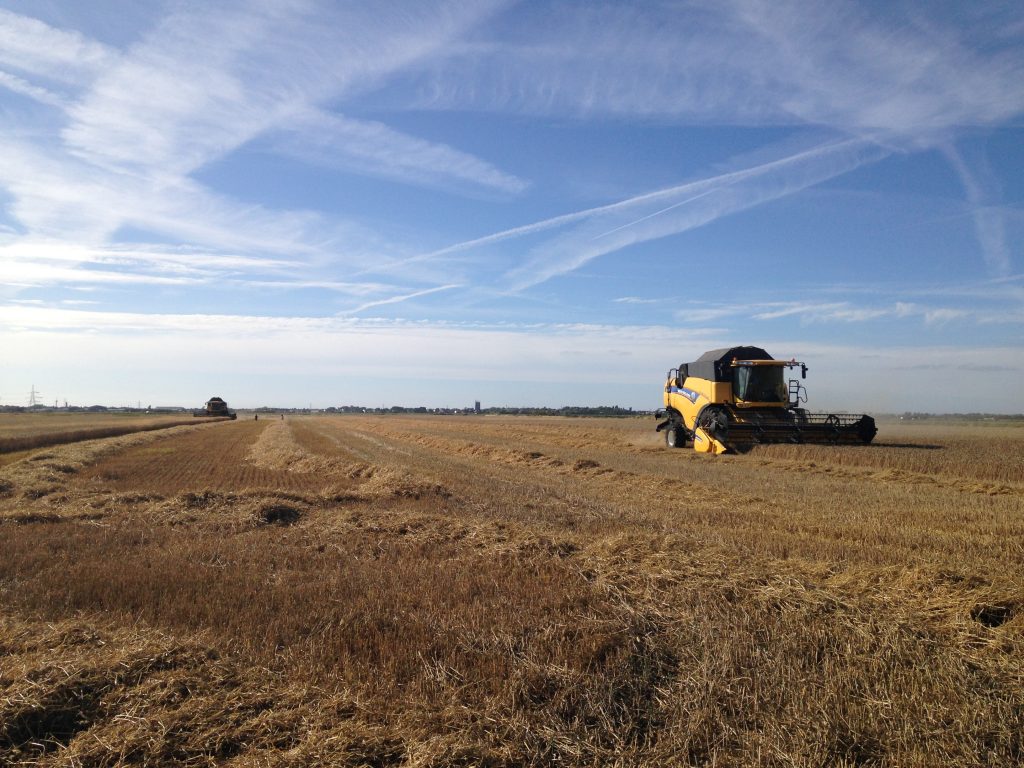 Two combines - Forty Acre Farm