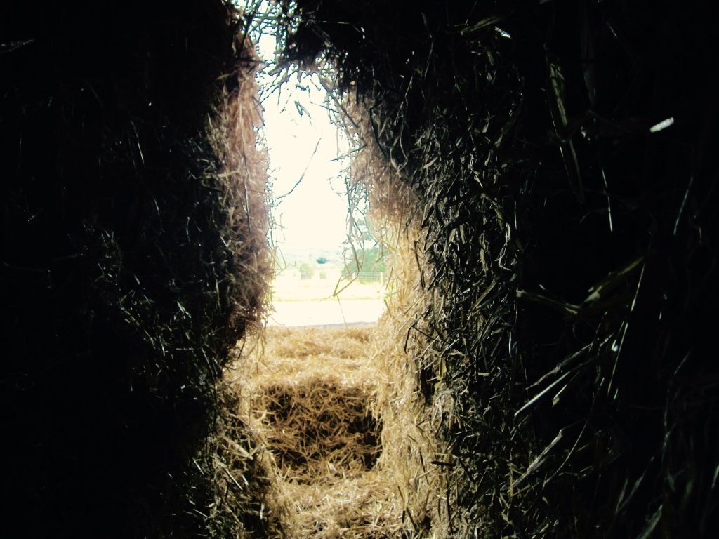 Straw fort view - Hare Farm