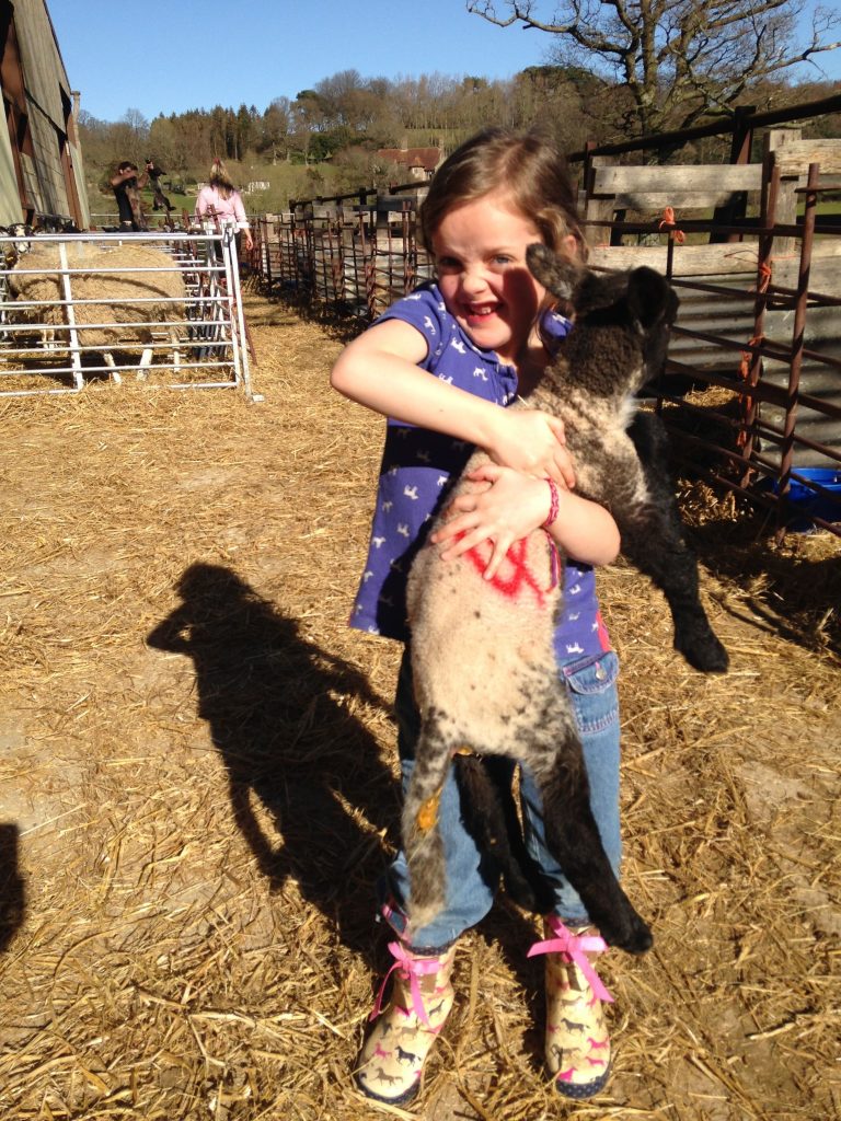 Lamb cuddles at Hare Farm, Sussex