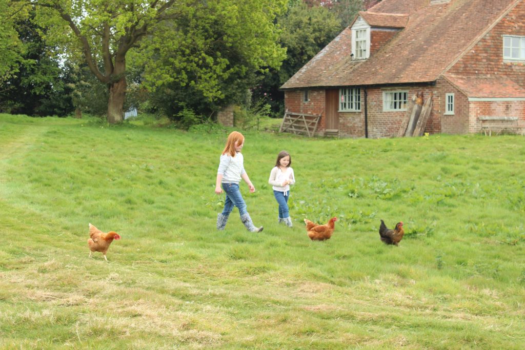 The grounds of Lidham Hill Farm