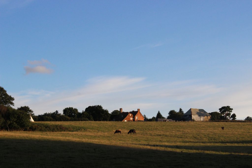 View back to Lidham Hill Farm