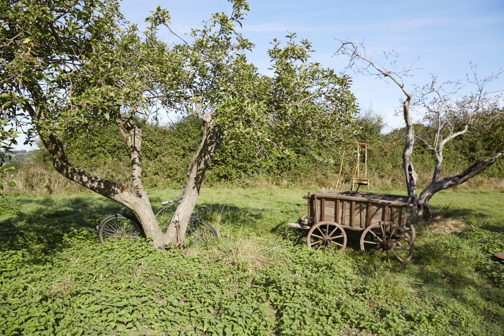 Old cart and bike at Lidham Hill farm, shoot location in Sussex