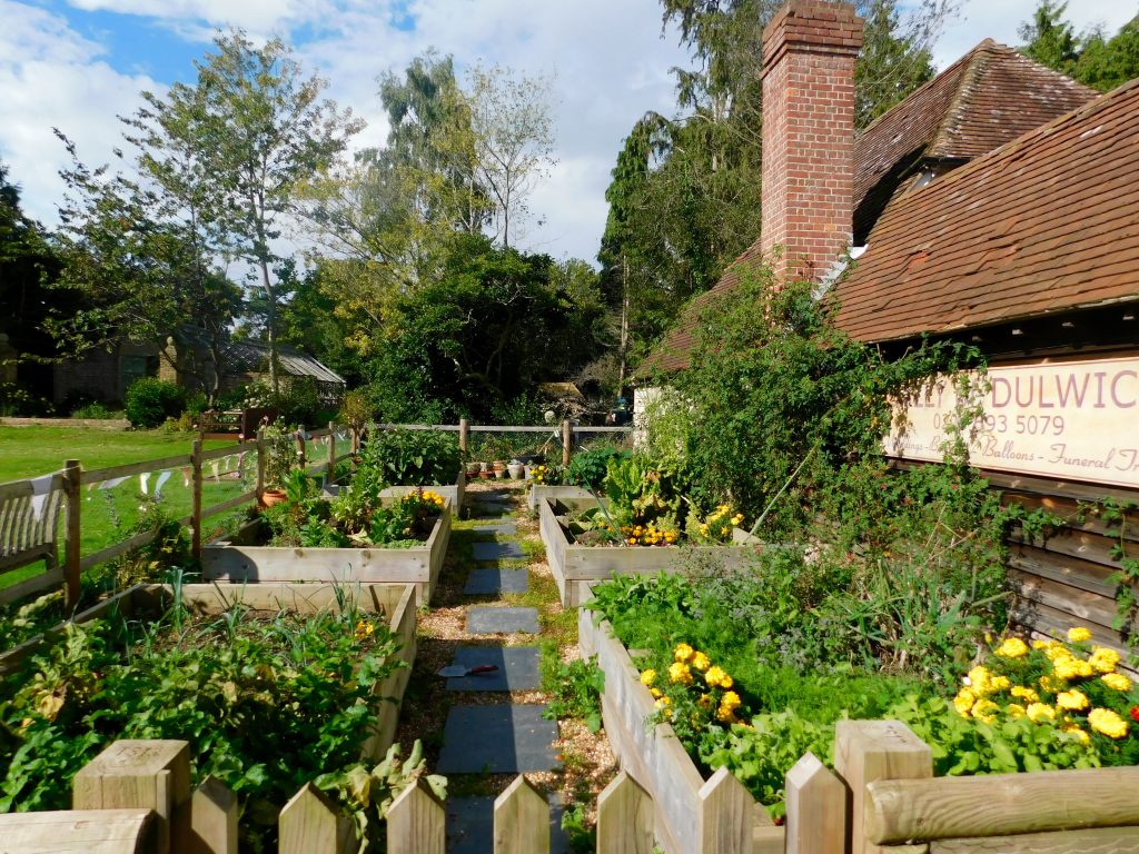 Crossways Farm veg patch