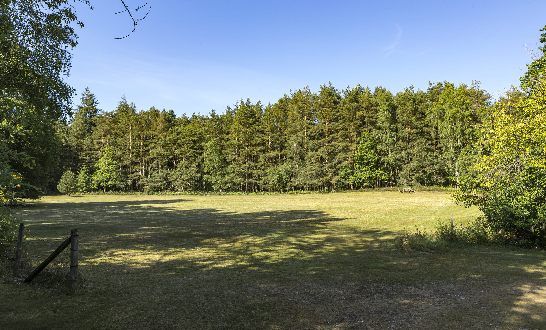 Forest Acres For Hire for filming and photoshoots Surrey Forest