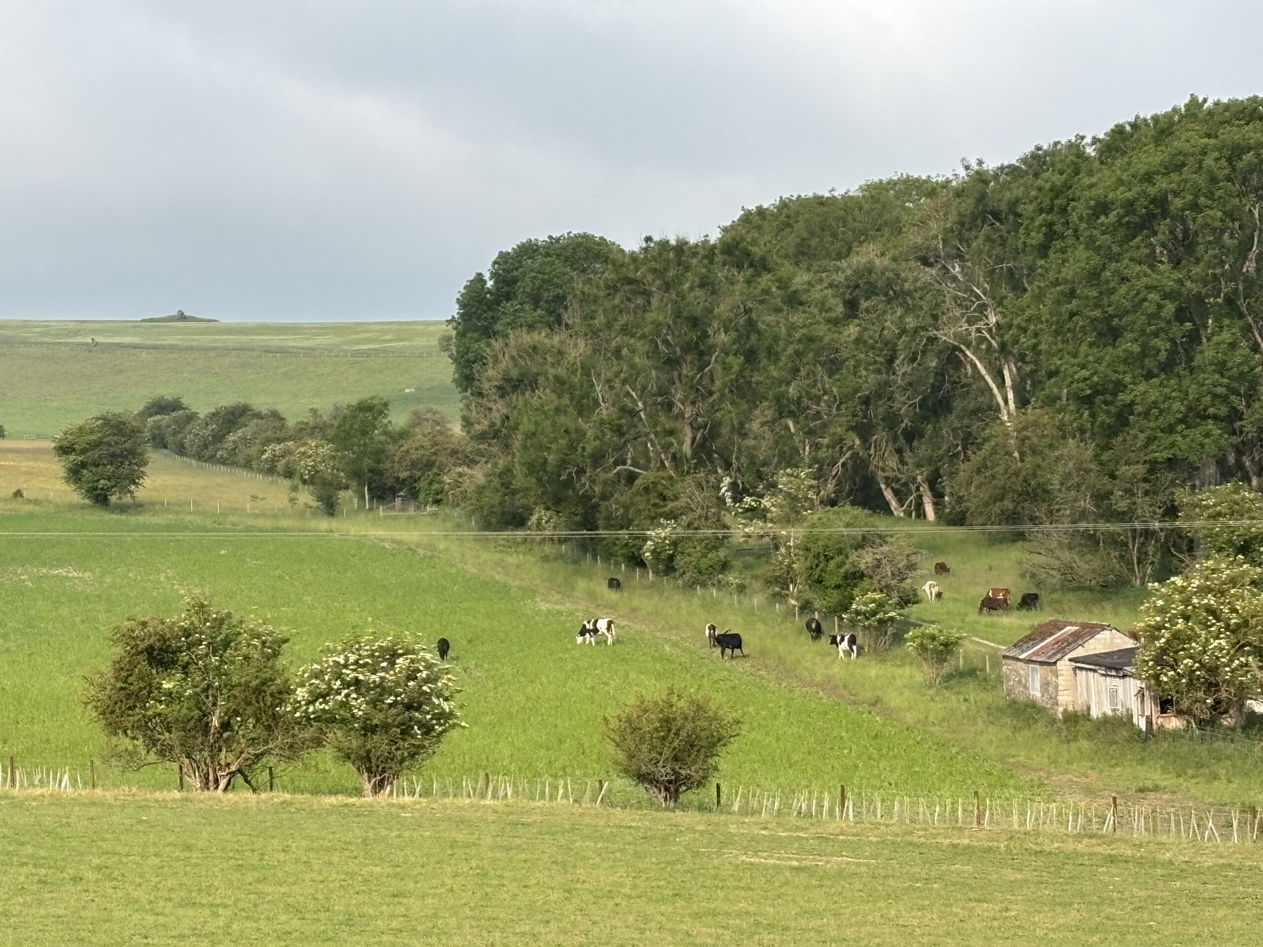 Sentor Farm Sentinel Manor Farm | For Filming & Photoshoots | Farm Locations