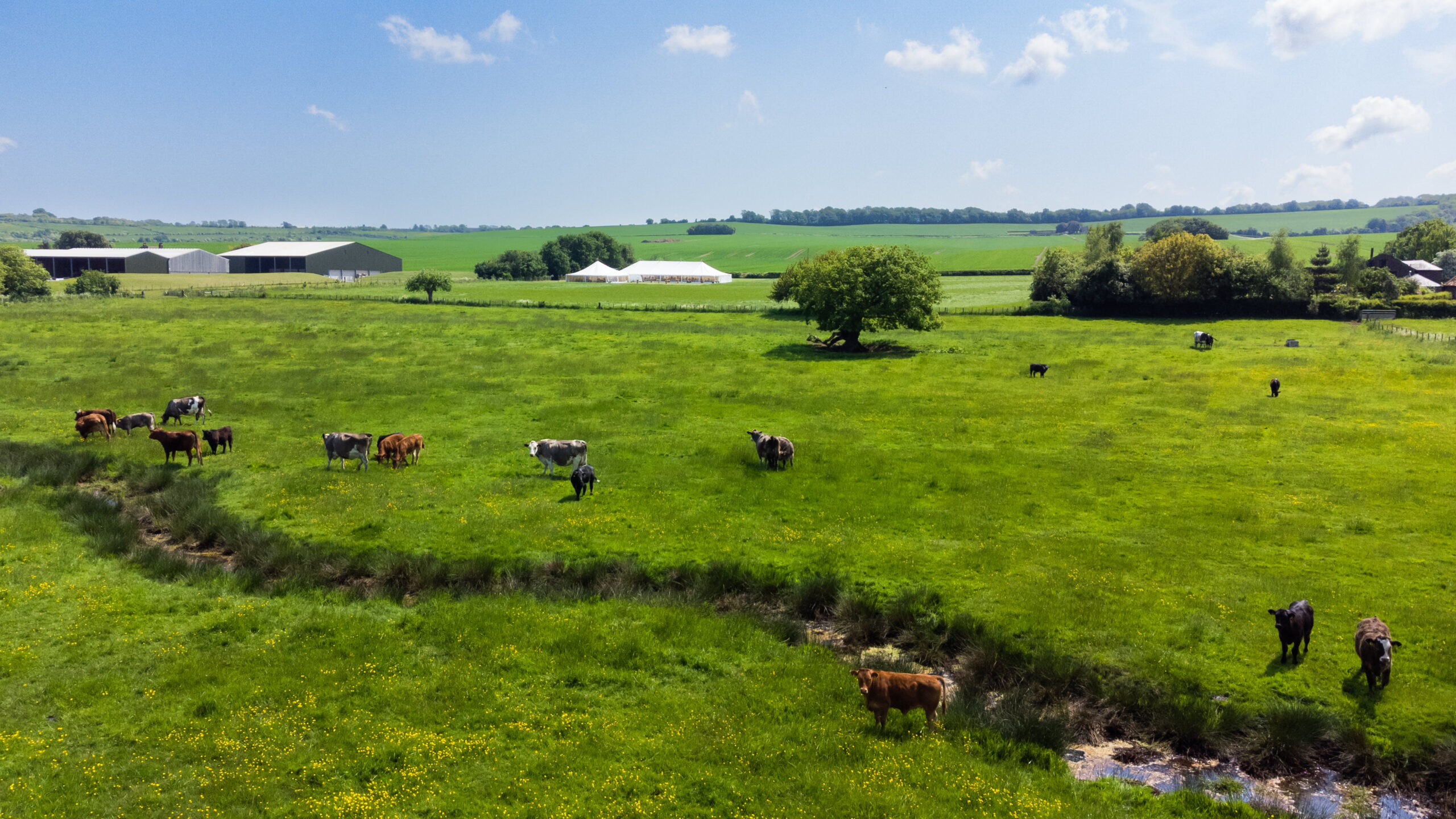 Edgewater Farm | For filming & photoshoots | Farm Locations