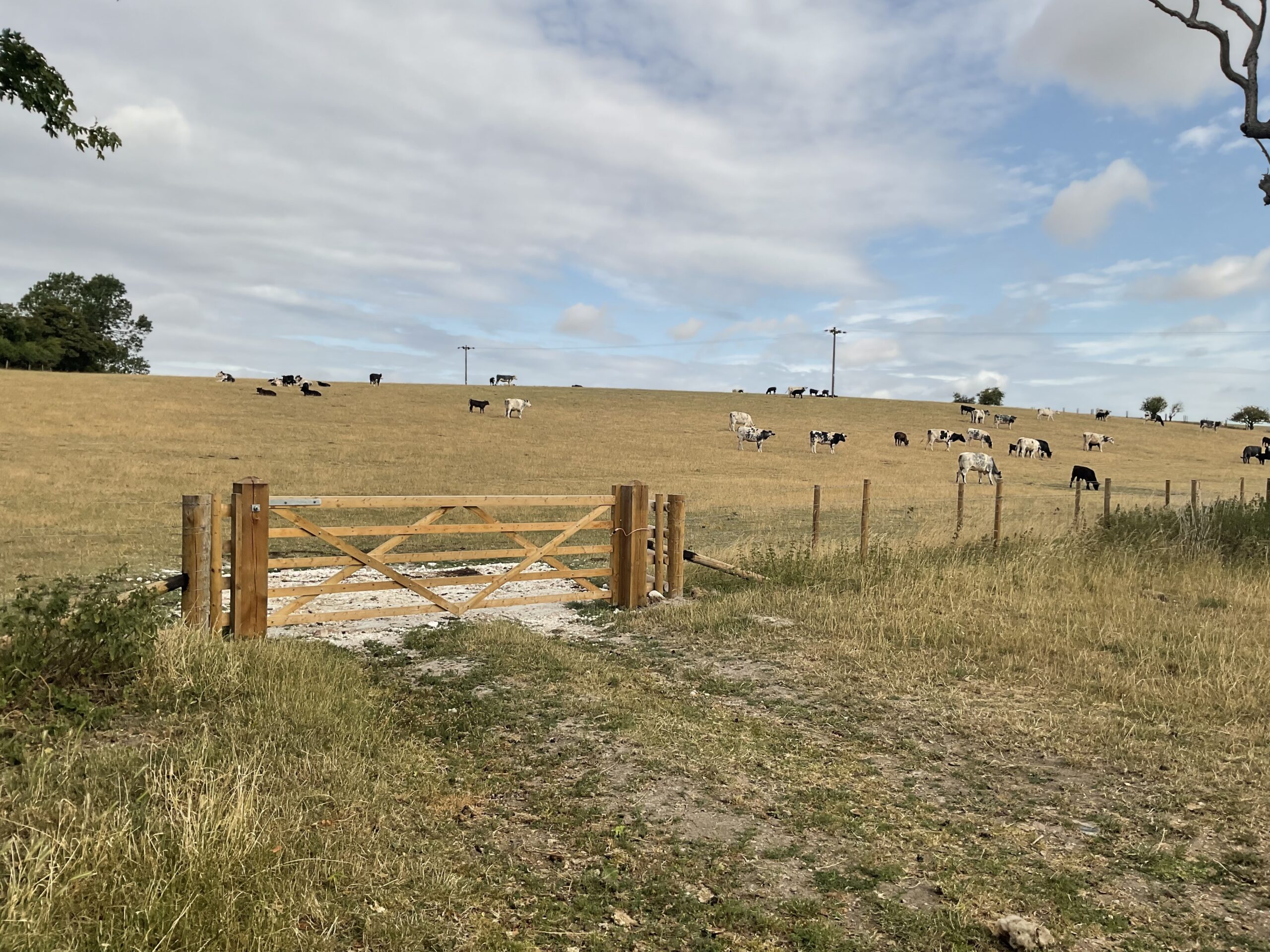 Greendale Farm | For filming and photoshoots | Farm Locations